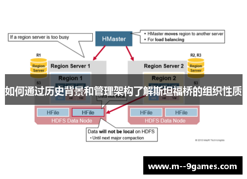 如何通过历史背景和管理架构了解斯坦福桥的组织性质